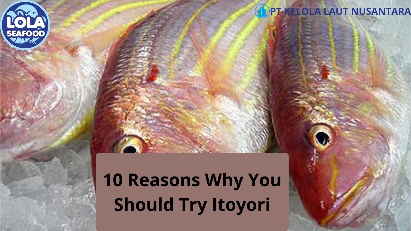 10 Reasons Why You Should Try Itoyori